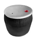 Complete Air Springs With Piston - ST 9069.CP 